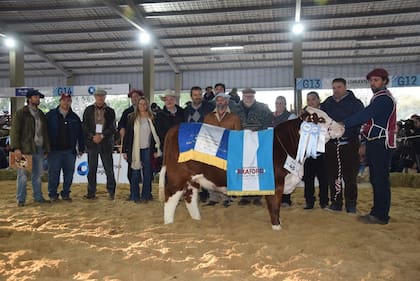 El Gran Campeón Ternera de la exposición