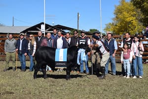 Brangus consagró los mejores terneros