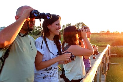 El Gran Día de Observación de Aves es una jornada mundial de ciencia ciudadana que dura 24 horas