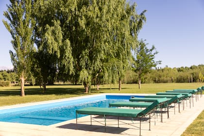El gran parque y la piscina para disfrutar de los días de calor sanjuanino