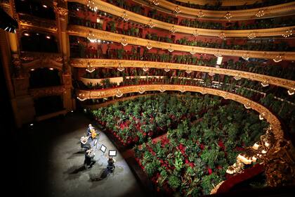 El Gran Teatro del Liceo, en Barcelona, durante un ensayo con plantas en reemplazo del público, poco antes de reabrir sus puertas en junio de 2020
