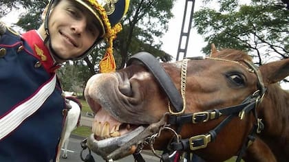 El granadero y el caballo ''Hostil''