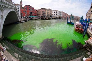 Ni activistas, ni colorantes, descubrieron qué provocó que se tiña de verde el Gran Canal de Venecia