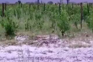 Piden usar aviones no tripulados para evitar daños por tormentas severas