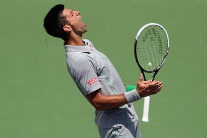 El grito de victoria de Nole que ahora jugará ante Murray