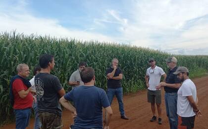 El grupo de argentinos en Brasil. En maíz el vecino país espera pasar de 46,4 millones de toneladas este año a las 80,7 millones en 2032