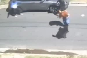 Tres ladrones tiraron a una mujer al piso, la arrastraron de los pelos y la golpearon para robarle el auto