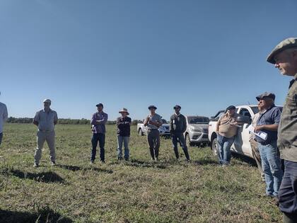 El grupo de ganaderos del Delta hacen reuniones periódicas para intercambiar conocimientos y así mejorar la producción