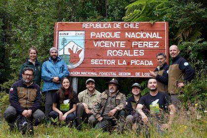 El grupo de investigadores en el Parque Nacional Vicente Pérez Rosales