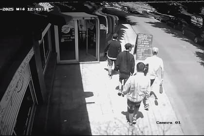 El grupo de ladrones que ingresó en la casa de Valeria Mazza