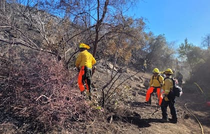 El grupo de mexicanos está conformado por 72 bomberos especializados