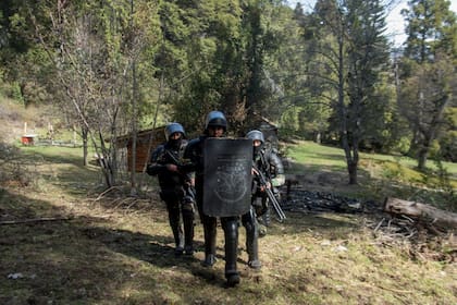 El grupo especial COER ingresó en uno de los terrenos ocupados por la comunidad mapuche Lafken Winkul Map, en Villa Mascardi
