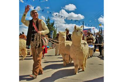 El desfile de alpacas más grande del mundo. El pasado 14 de junio, en Perú, se realizó un llamativo desfile de alpacas en el cual participaron 1.048 animales pertenecientes a esta especie. Se realizó en Juliaca, ciudad de la provincia de San Román, en el sur peruano