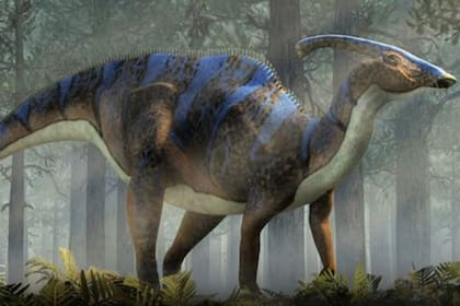 El hadrosaurio vivió hace 60 millones de años y es una especie que ayudará a los científicos a llenar un vacío que tienen en la reconstrucción de la evolución de los dinosaurios