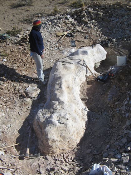 El hallazgo de Dionide