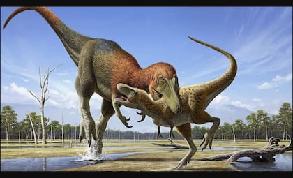 El hallazgo de la especie extinta en Carolina del Norte refleja que la diversidad de depredadores en el último millón de años del Cretácico fue mucho mayor de lo que se pensaba