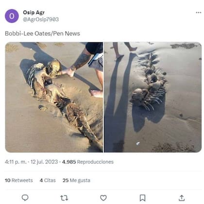 El hallazgo de los restos de una supuesta sirena en una playa de Australia fue registrado en una serie de fotografías que luego la autora subió a las redes sociales