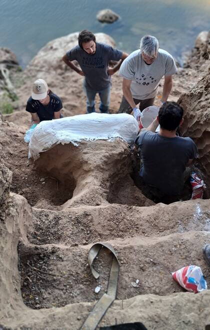 El hallazgo de los restos fósiles de un mastodonte en Santa Fe
