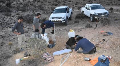 El hallazgo de los restos fósiles del lagarto bautizado como Alamitosphenos mineri se produjo en la Estancia Nueva Poupée, cerca de la localidad de Arroyo Ventana, del departamento de Valcheta
