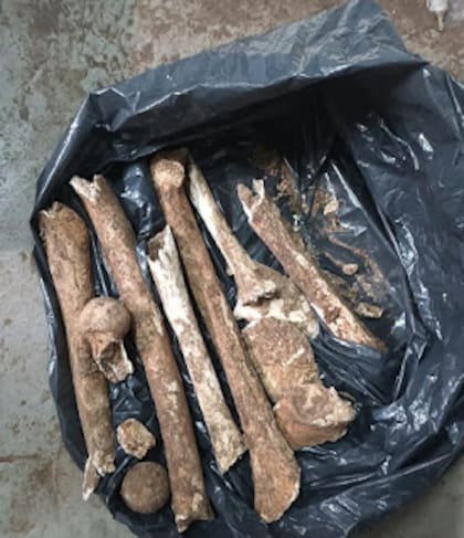 El hallazgo de los restos humanos motivó una investigación judicial.