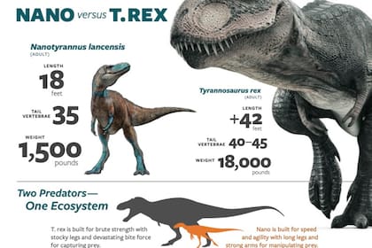 El hallazgo en Carolina del Norte pone fin a uno de los debates más antiguos de la paleontología
