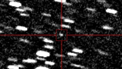 El hallazgo ocurrió el martes 29 de julio en un observatorio de Chile