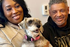 Perdieron a su perrita en Texas y así apareció en Nueva Jersey dos años después