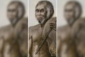 El hallazgo revolucionó a la ciencia