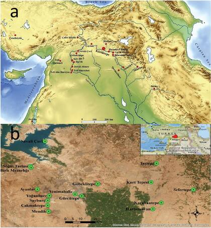 El hallazgo se dio en el sur de Turquía