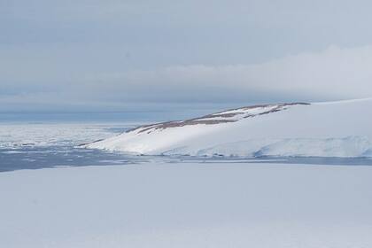 El hallazgo se produjo en el Cabo Irizar, en el mar de Ross, en la Antártida