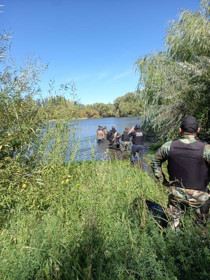 El hallazgo se produjo en una isla sobre el río Negro.