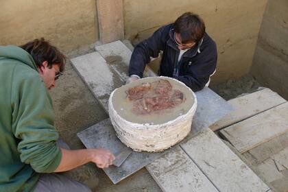 El hallazgo se realizó en el yacimiento de Wachtberg en Krems an der Donau, en Austria