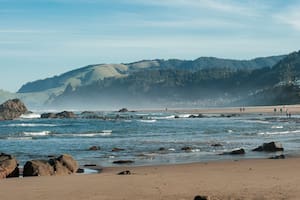 Caminaban por la playa y descubrieron algo que los dejó en shock: “No son comunes”