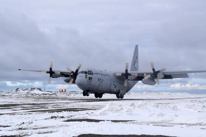 El Hércules (Foto: Bárbara Ortiz)