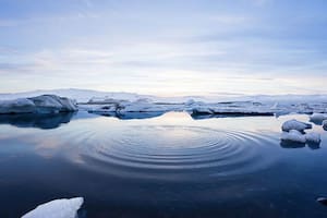 La catastrófica predicción sobre el océano Ártico que genera desolación entre los científicos