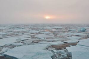 El Ártico perderá todo su hielo por primera vez en las próximas dos décadas