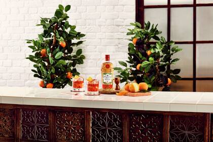 El hielo y el twist de naranja son esenciales para que este Sevilla Negroni sea especialmente refrescante.