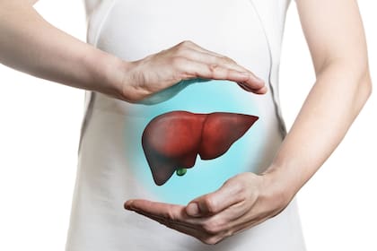El hígado es un órgano vital que desempeña un papel crucial en el metabolismo