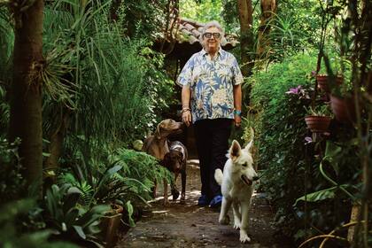 El hijo de Pepe Cibrián y Ana María Campoy recorre su enorme jardín acompañado por Totó, Paul y Quijote, tres de sus cinco perros.