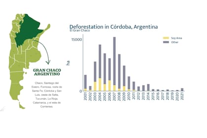 El histórico de la deforestación en Córdoba, una de las provincias donde se ha reflejado un cambio importante