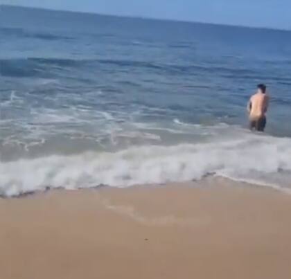 El hombre aparentemente intentaba liberar al tiburón de un anzuelo para regresarlo al mar de Nueva York