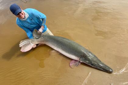 El hombre buscar marcar un nuevo récord con los enormes ejemplares que capturó