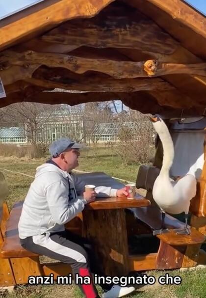 El hombre comparte diferentes momentos con el cisne, desde salidas al shoping hasta viajes por el país