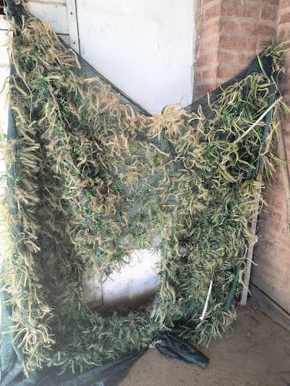 El hombre, de 42 años, fue detenido cuando estaba dentro del río