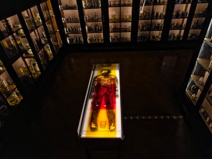 El hombre de humo, pieza central de "Anatomía de las cualidades", se integró a través de una donación del artista a la colección permanente del MUSA