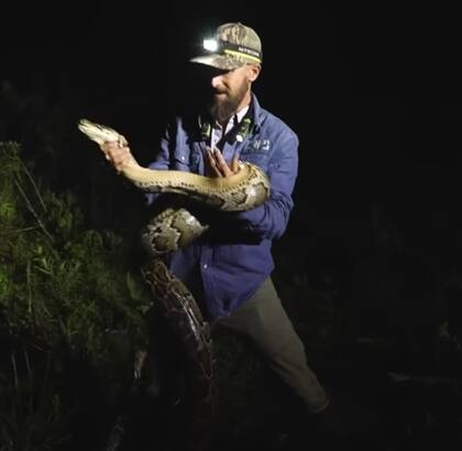 El hombre encontró a la enorme serpiente en una carretera de los Everglades