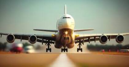 El hombre fue detenido antes de abordar y de escaparse