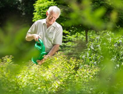 El hombre fue visto por los agentes realizando actividades de jardinería (Foto ilustrativa: iStock)