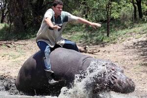 La extraña "amistad" entre un hombre y un hipopótamo bebé que terminó de la peor manera