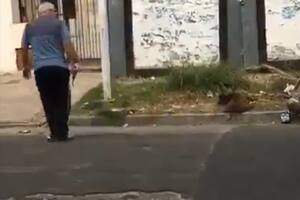 Aberrante: un hombre ejecutó de cuatro tiros al perro del barrio y quedó filmado